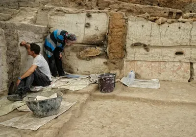 Çatalhöyük excavation poop coprolite whipworm parasite egg neolithic farming